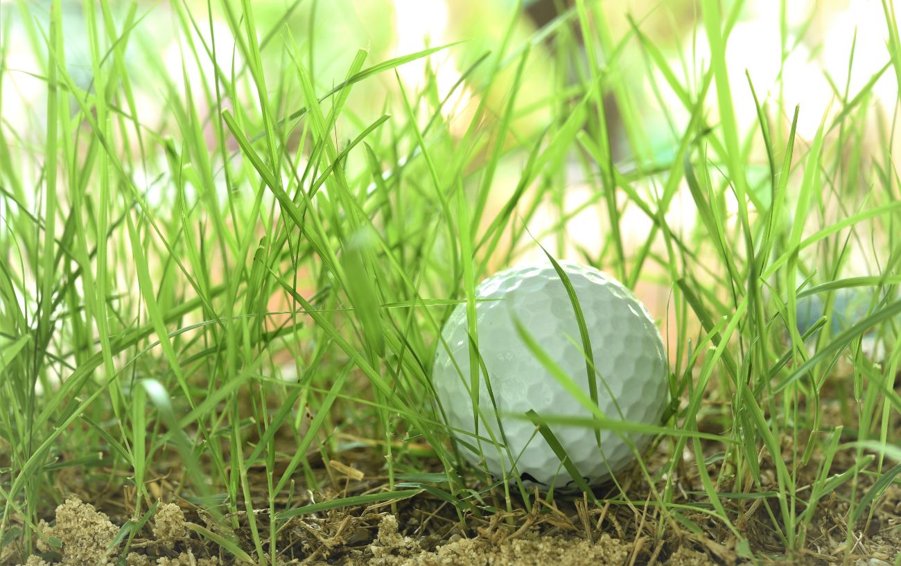 golf ball hidden in grass
