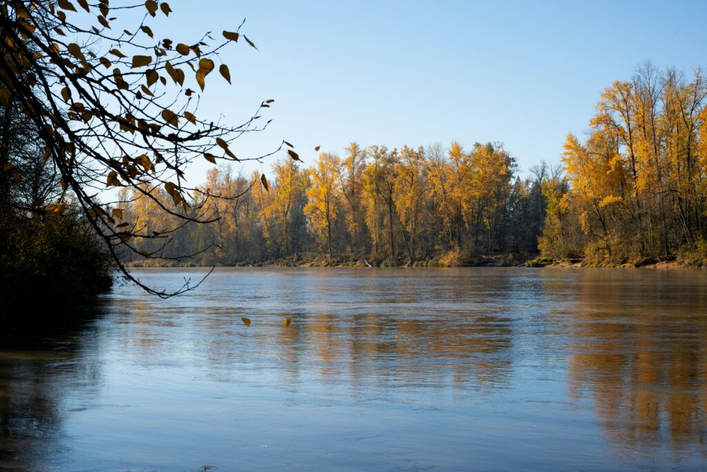 Willamette River