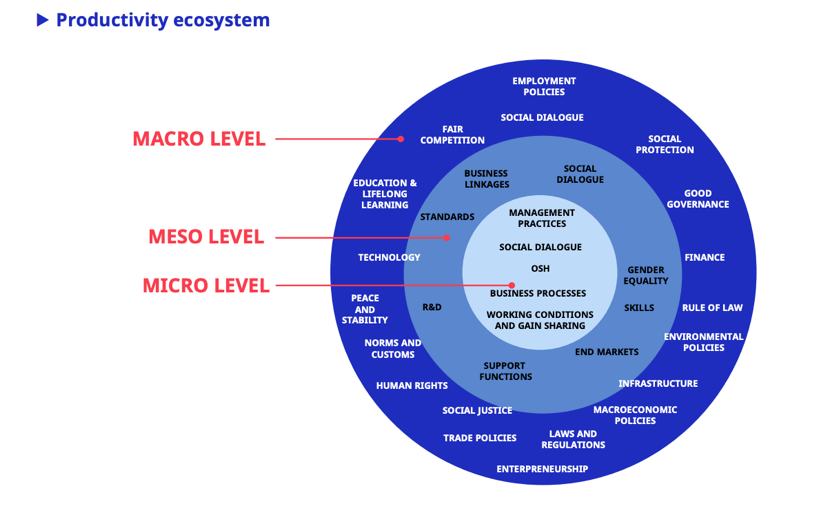 A diagram of the ecosystem

Description automatically generated