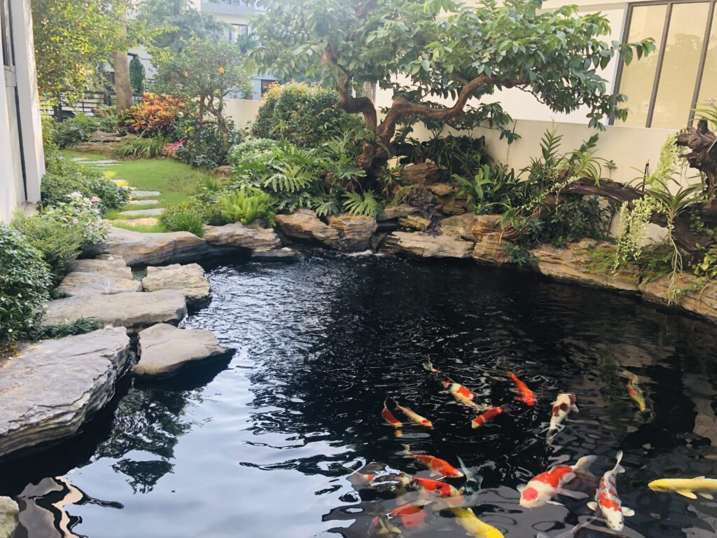 Một số mẫu tiểu cảnh sân vườn có hồ cá koi đẹp, hiện đại, dễ thi công năm 2023