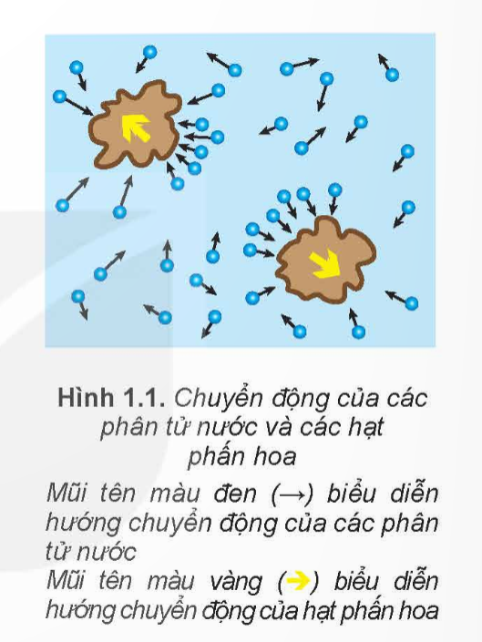 A diagram of a cell phone

Description automatically generated