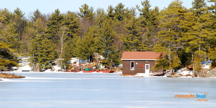 Wood home on the edge of a frozen lake surrounded by trees.