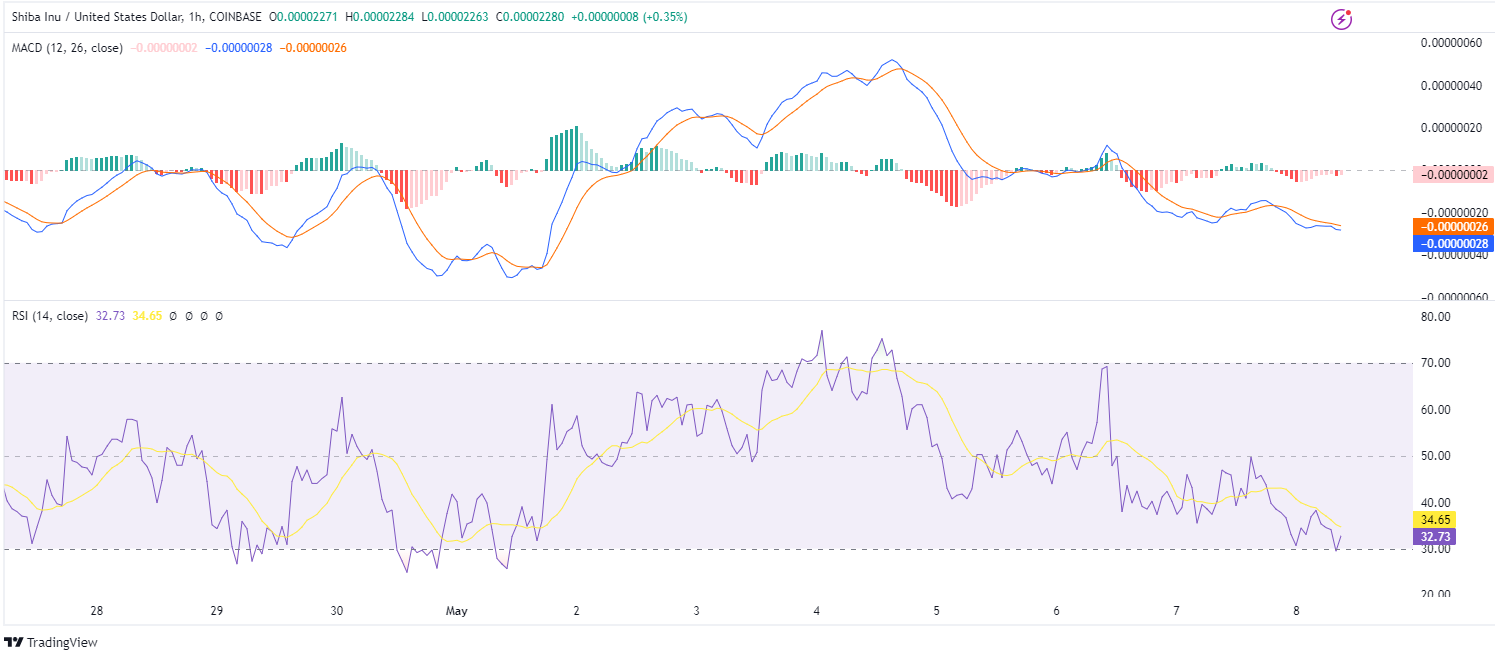 SHIB/USD 1-Hour Chart (Source: Tradingview)