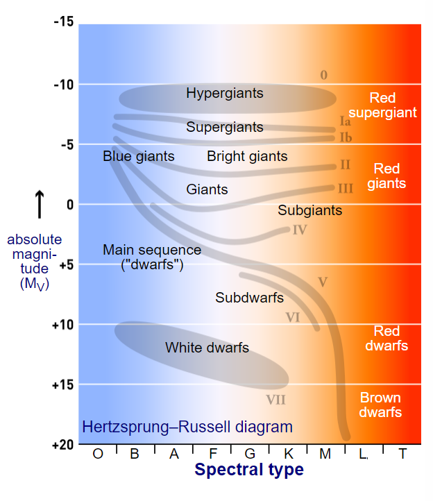 How Many Suns Are There: Spectral Type