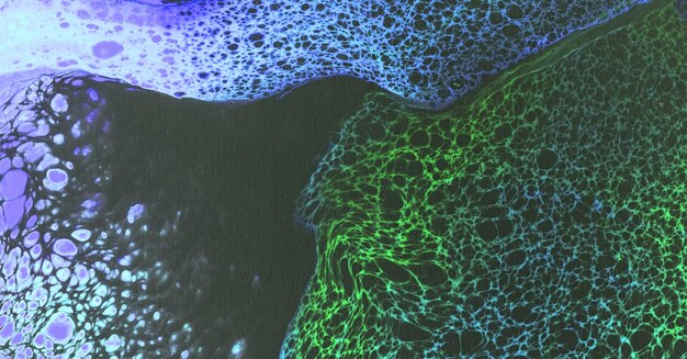 Aquatic Biotech Ocean Solutions