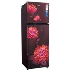 Lloyd GLFF292ASRT1PB 283 Ltr Double Door - Price in India, Specifications &  Features | Refrigerators