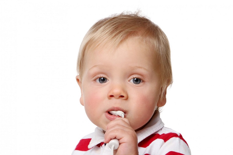 Trẻ sẽ có xu hướng muốn nhai cắn một cái gì đó do ngứa lợi khi mọc răng
