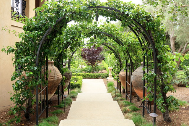Support For Vining Plants