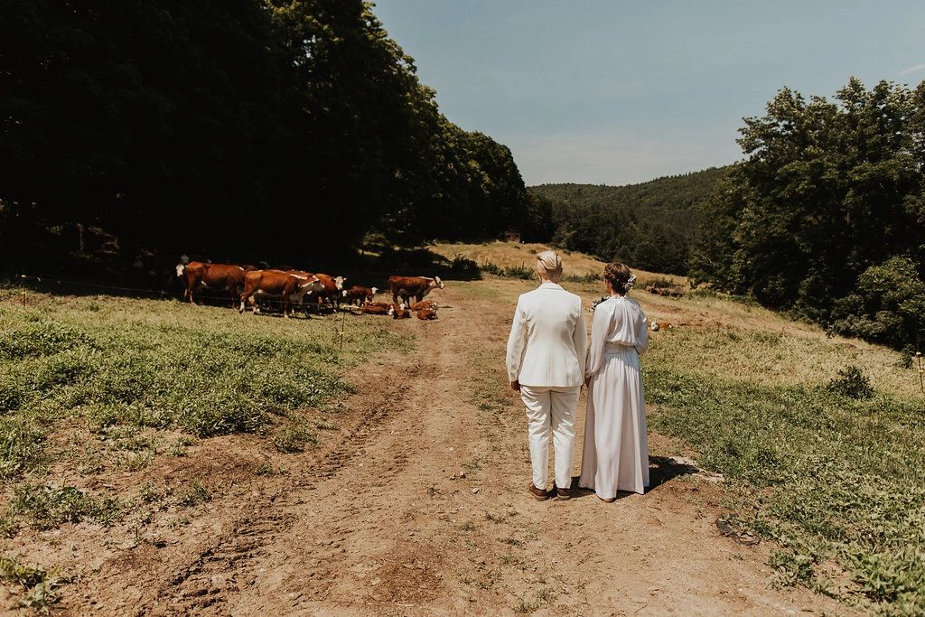 Couple watching cows together

