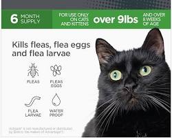 Image of TevraPet Actispot II Flea Treatment for Large Cats on Amazon