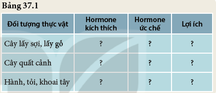 Khoa học tự nhiên 7 Bài 37: Ứng dụng sinh trưởng và phát triển ở sinh vật vào thực tiễn | KHTN 7 Kết nối tri thức (ảnh 4)