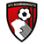 A logo of a football team

Description automatically generated