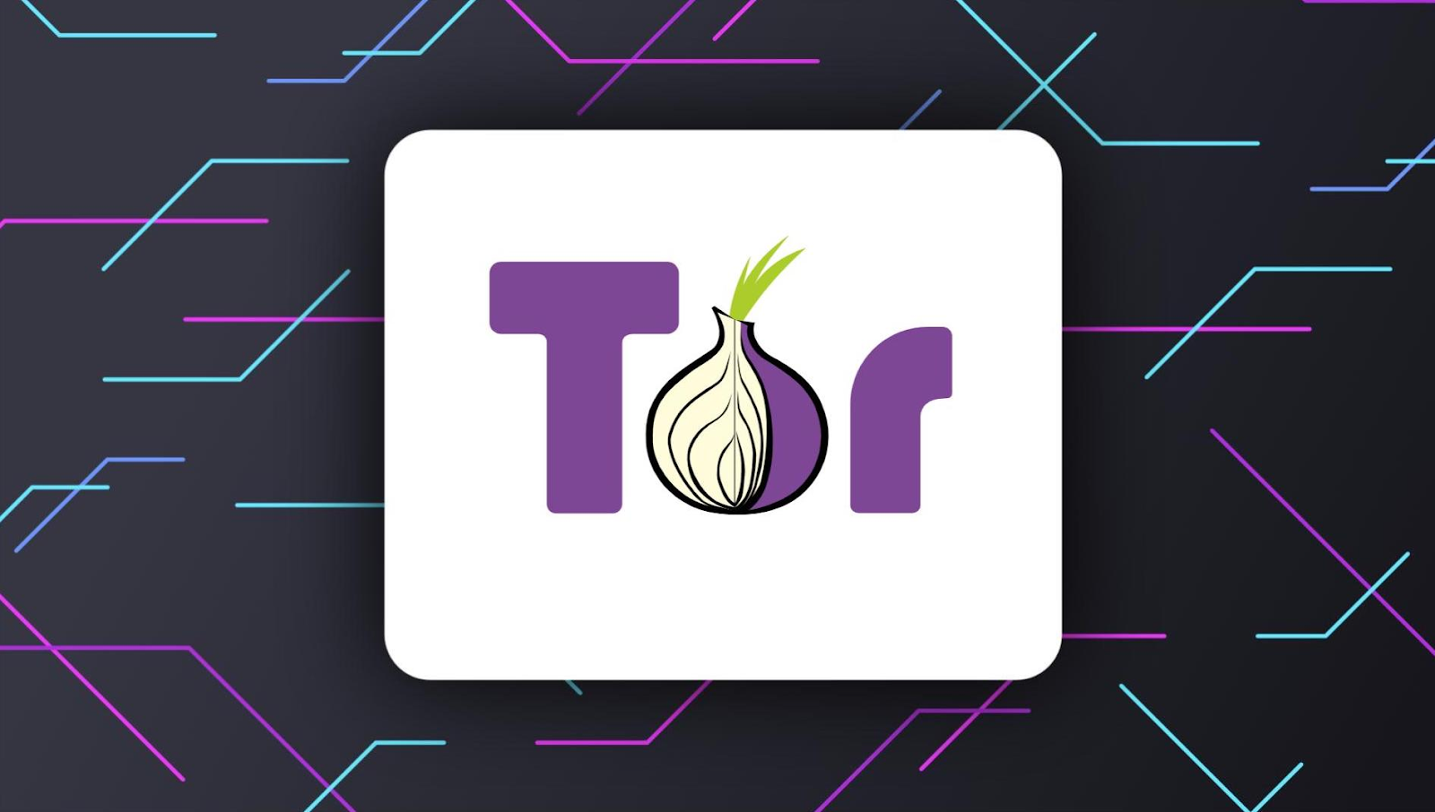 لوگوی Tor