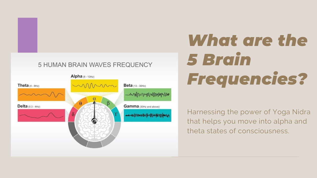 5 brain frequency