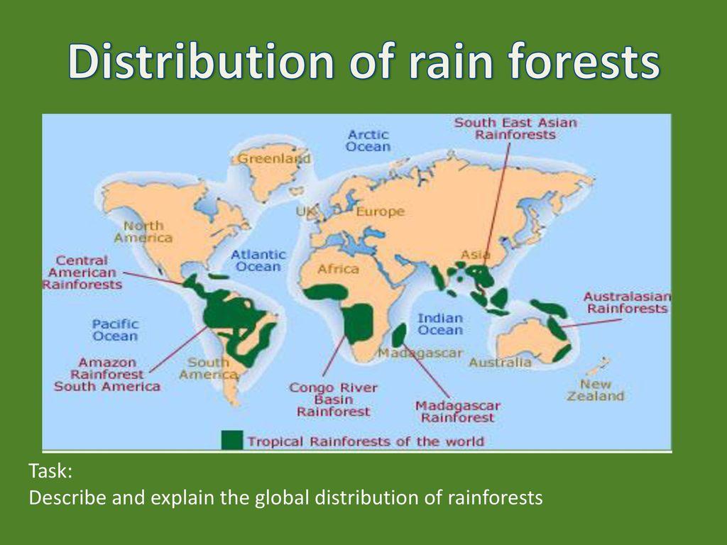 Distribution of Rainforest