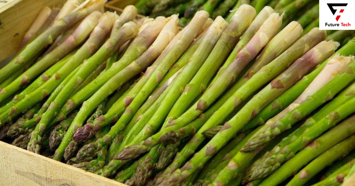 Can rabbits eat asparagus