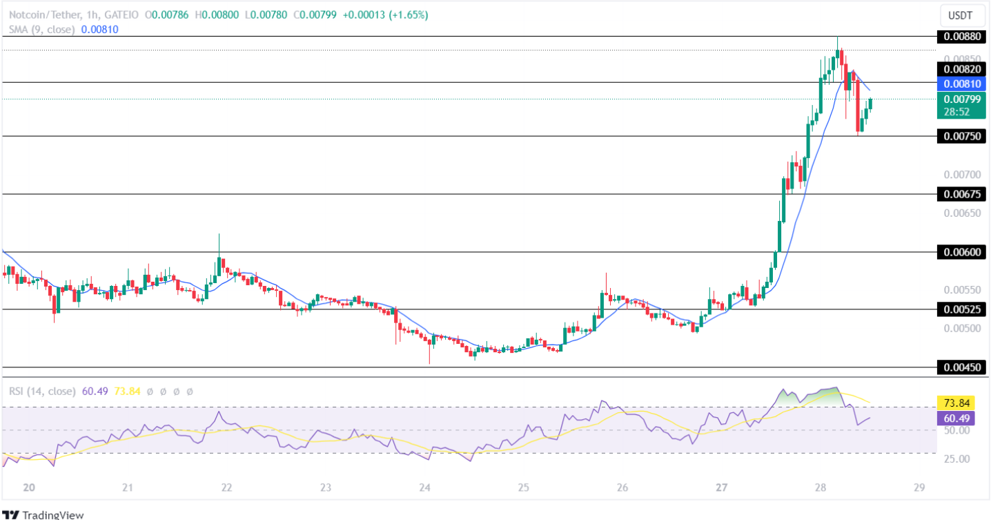 Notcoin Price Analysis