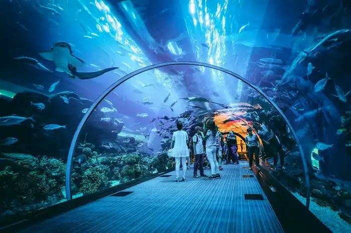 Dubai Mall Aquarium & Underwater Zoo Instagrammable spots