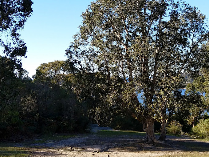 Woorarra Lookout Reserve