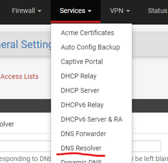 <b>“Services”</b> > <b>“DNS Resolver”</b>.