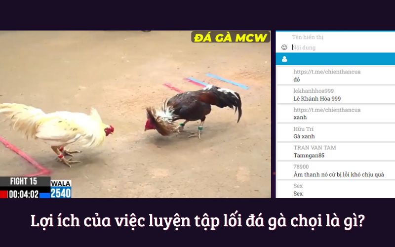 Lợi ích của việc luyện tập lối đá gà chọi là gì?