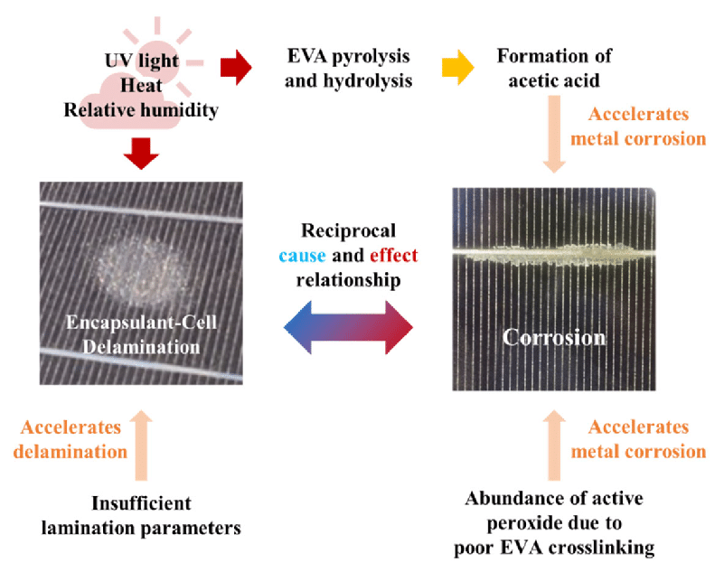Corrosion-mechanism-in-silicon-solar-cells-42-44-45-48-H2O-and-O2-enter-through-the.png