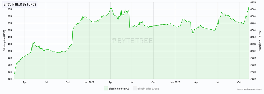 Обратный отсчет Биткойна до 100 тысяч долларов: цена BTC приближается к новому рекордному уровню!