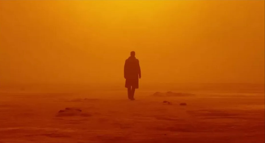 Blade Runner 2049 Medium