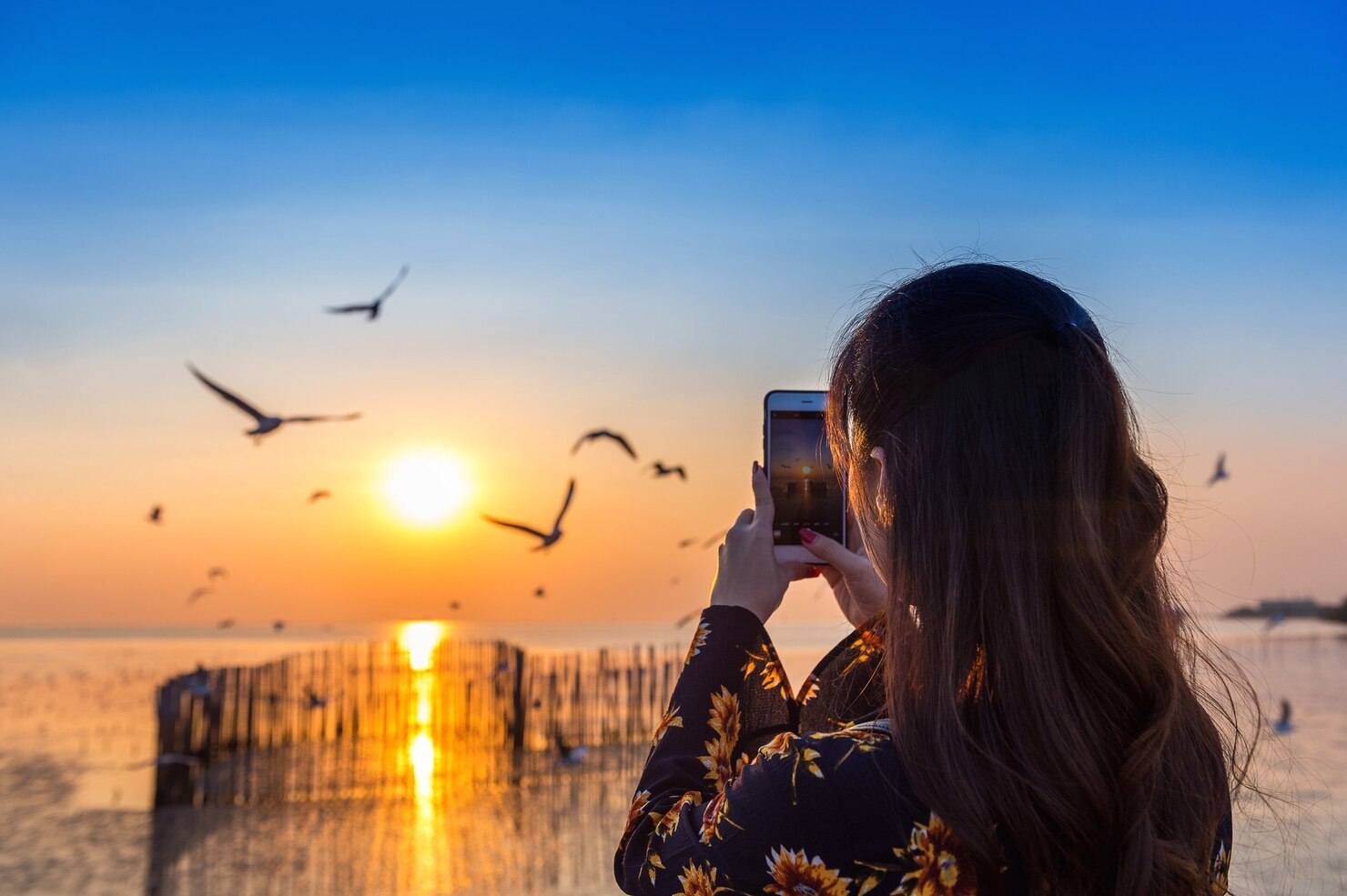 A girl taking a Snap of birds flying at sunset.