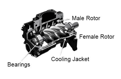 Konstruktionsstruktur des Schraubenkompressors