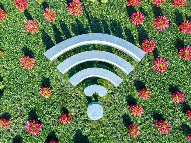A wifi symbol surrounded by flowers

Description automatically generated