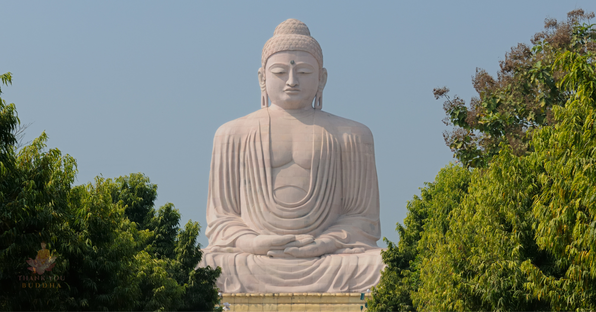 thank you buddha