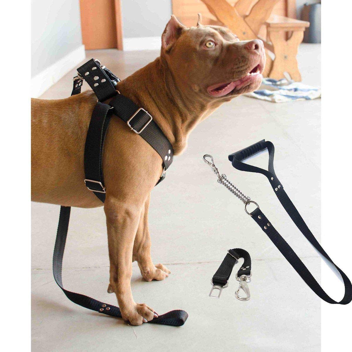 Coleira Peitoral Guia Cinto Segurança Cachorro Doberman Pitbull Anti Puxao - M Preto