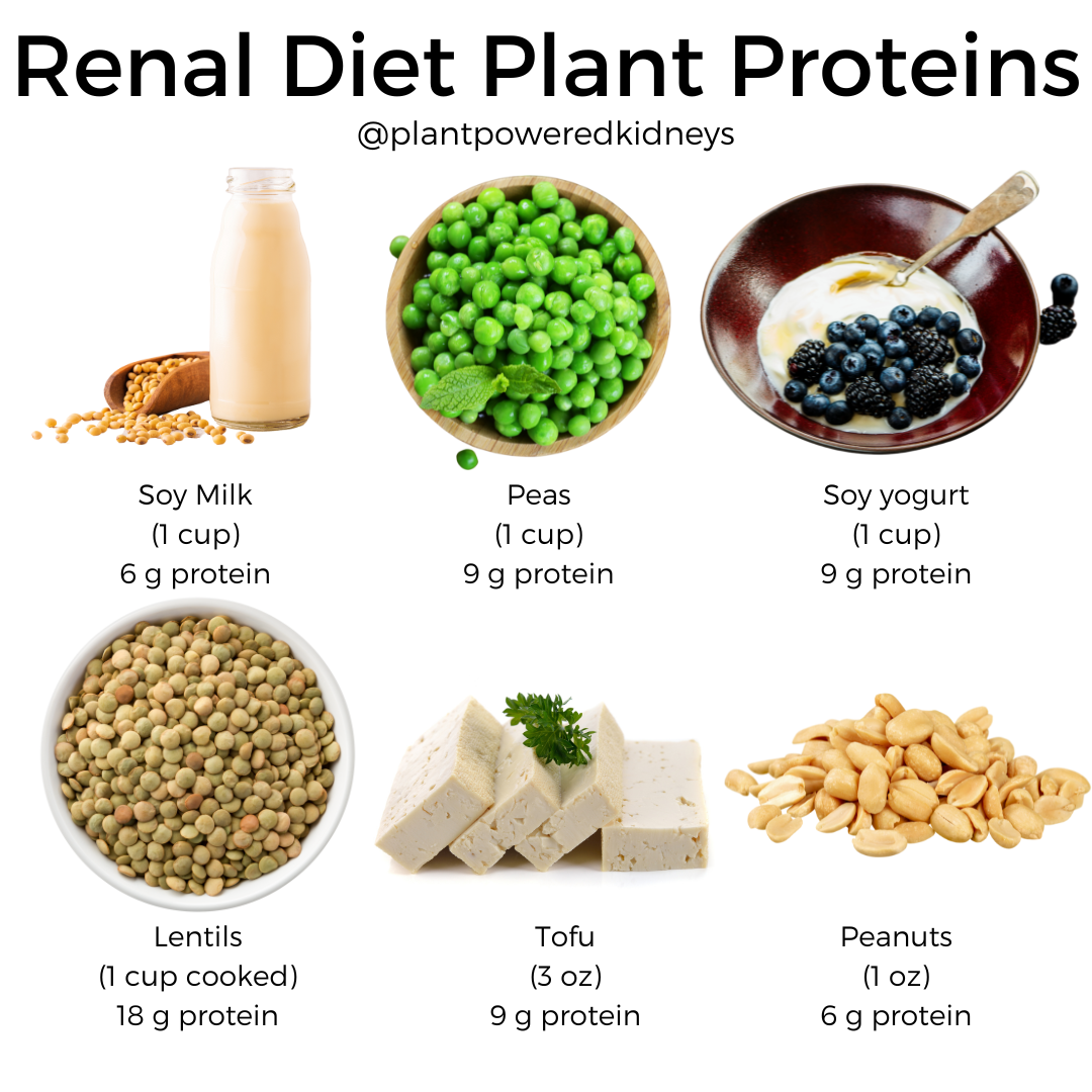 Plant proteins can be a great nutrient source for kidney patients on a DASH Diet.
