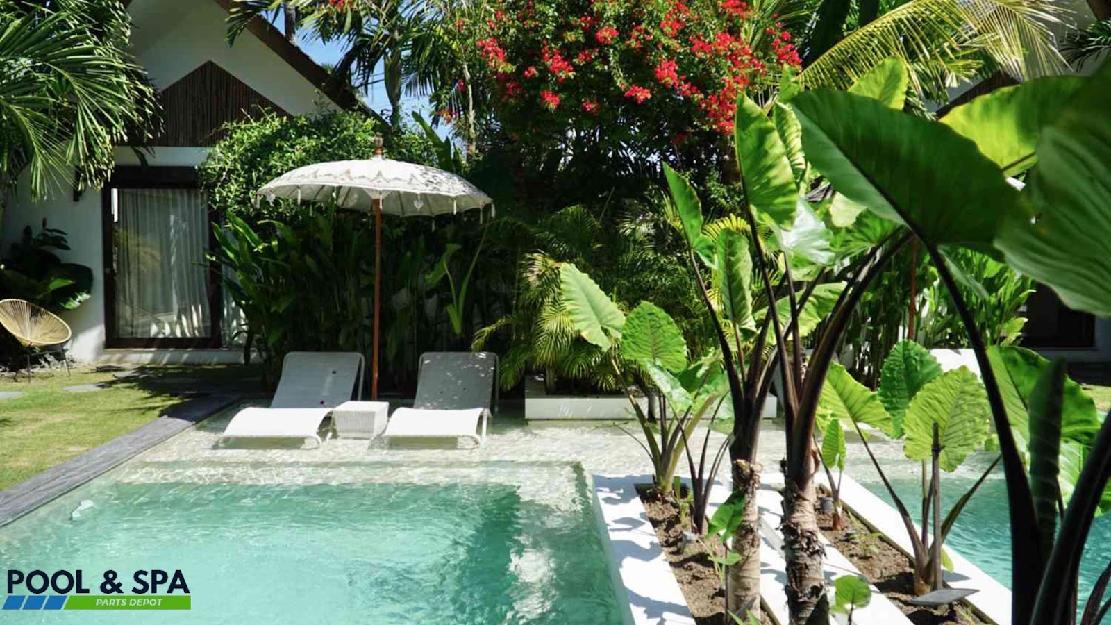 Banana Trees Around Pool