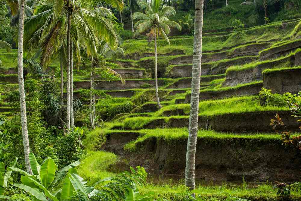best place to visit at bali