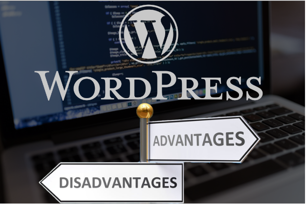 WordPress Advantages and Disadvantages