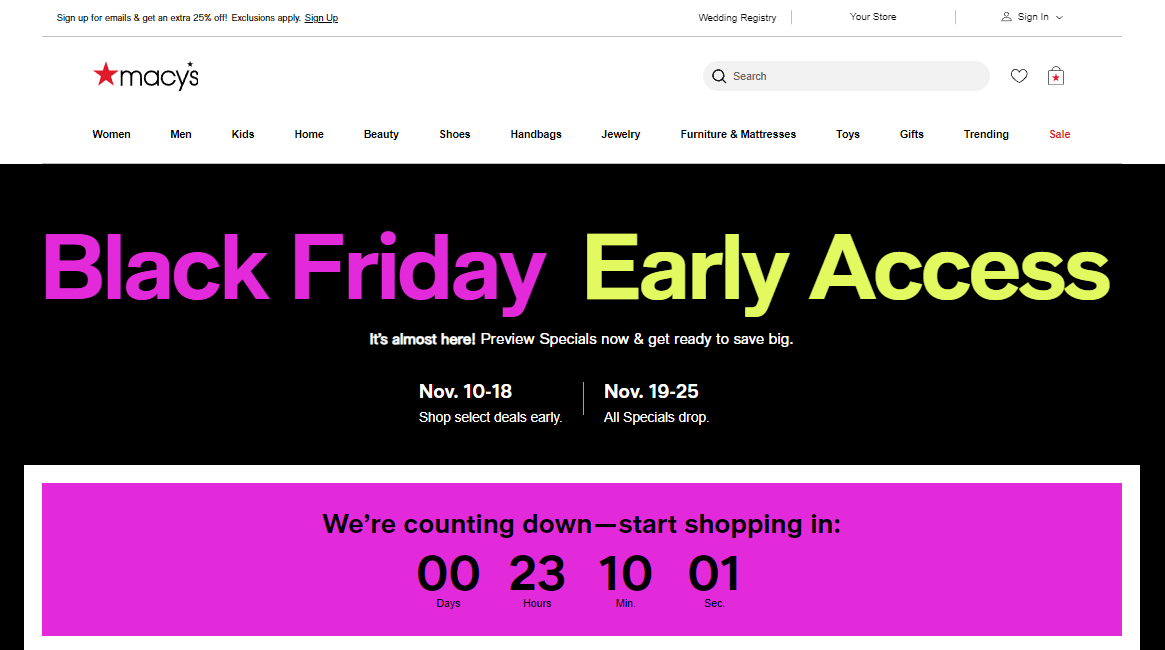 Black Friday Landing Page example