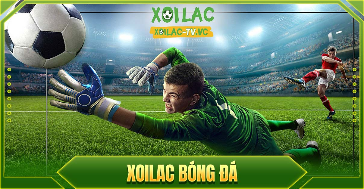 Bắt kịp xu hướng với XoilacTV: Trang web bóng đá trực tuyến uy tín