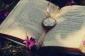 lost_time_in_a_book_by_pinkparis1233
