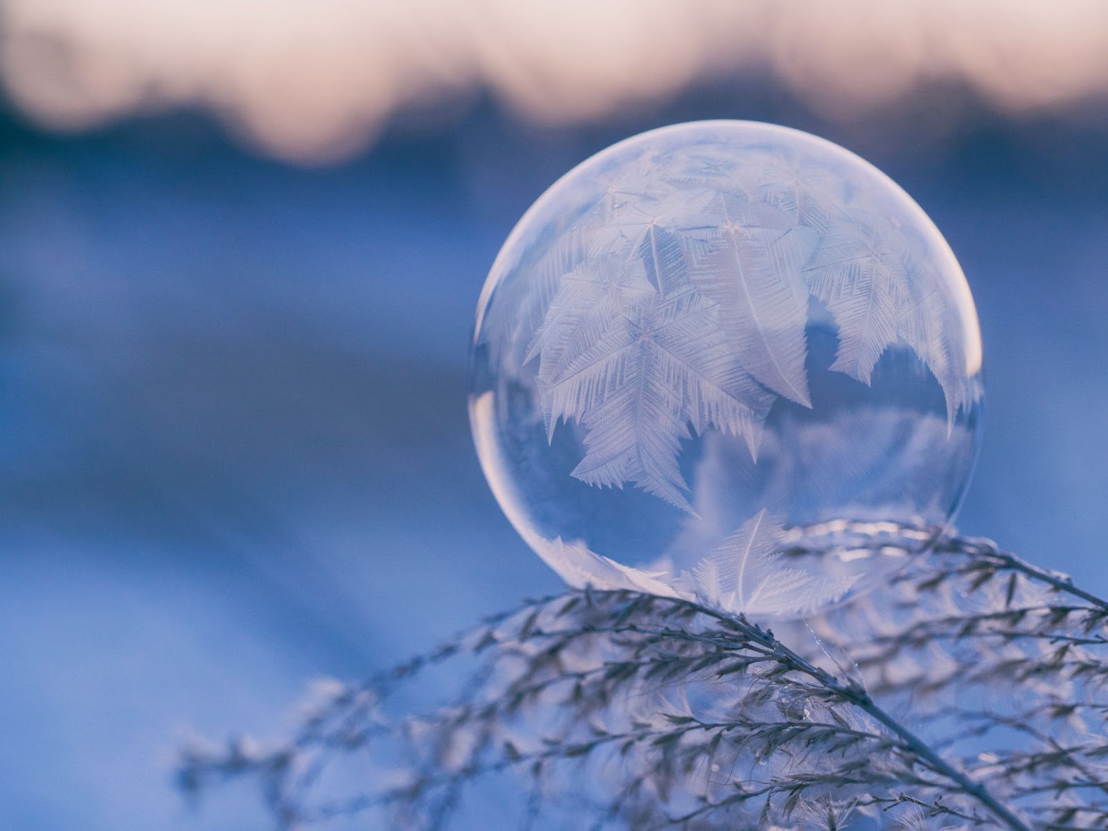 Iarna, de Vasile Alecsandri – poezii pentru copii, cu imagini vizuale superbe