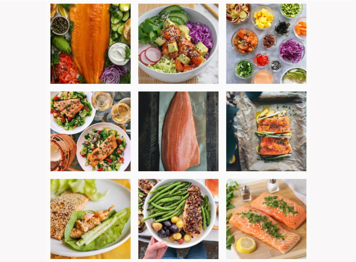 A screenshot of Bluehouse Salmon's Instagram feed, with nine colorful pictures showcasing salmon recipes.