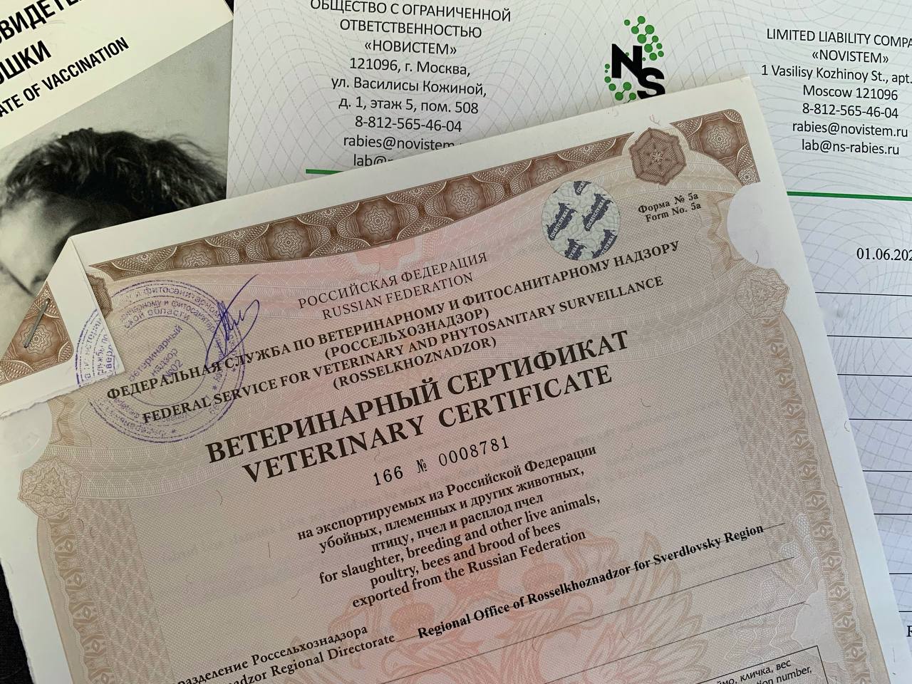 Как получить международный ветеринарный сертификат