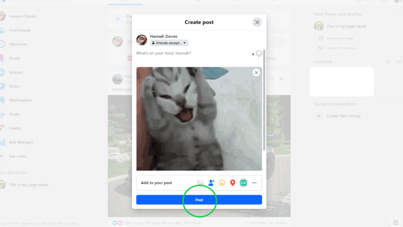  add a description or status line when posting a GIF to Facebook