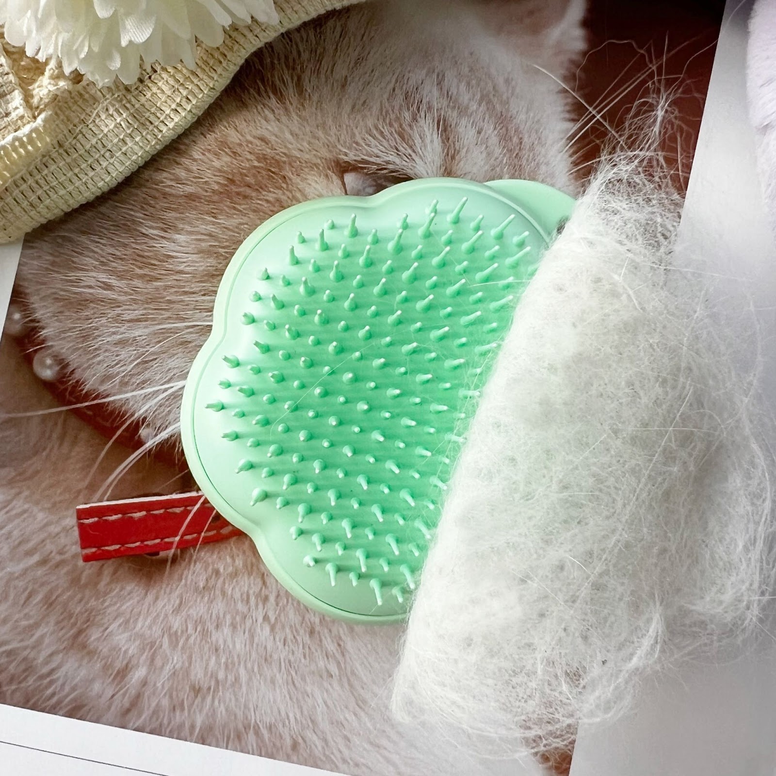 療癒梳毛時光！Tangle Teezer-PET TEEZE