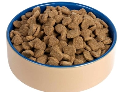 Dry Dog Food