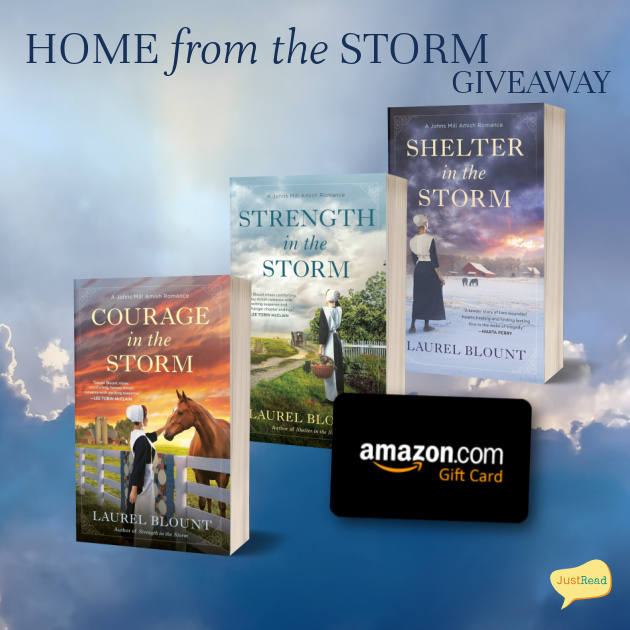 Home from the Storm JustRead Tours giveaway