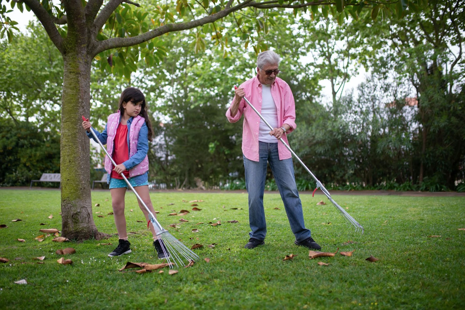 senior man and granddaughter raking leaves in backyard
