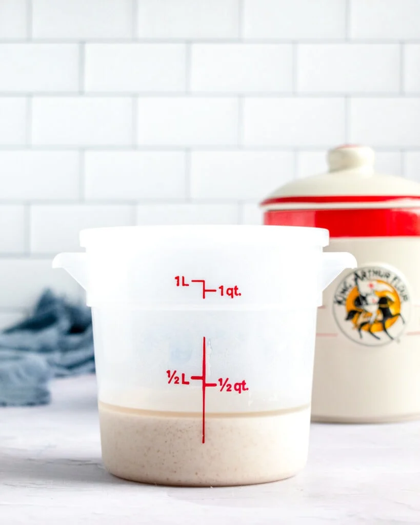 Top 10 Sourdough Starter Tips - Sourdough starter in plastic container