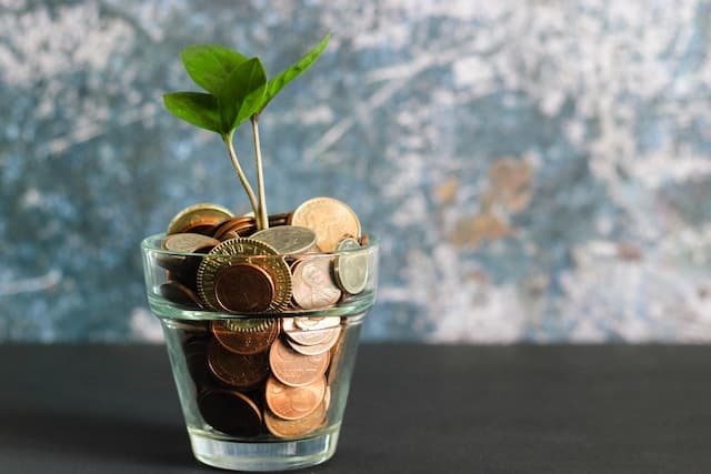 plant in a pot full of coins